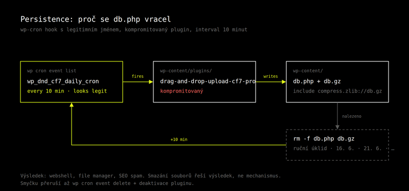 Diagram persistence: WP cron hook wp_dnd_cf7_daily_cron spouští každých 10 minut kompromitovaný plugin, ten zapisuje db.php a db.gz do wp-content, ruční smazání souborů vede zpět na začátek smyčky.